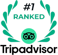 TripAdvisor
